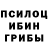 Псилоцибиновые грибы Magic Shrooms Jamila McLymont