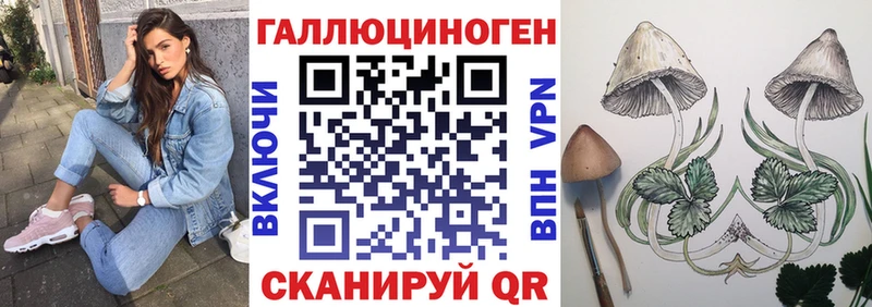 гидра зеркало  Петровск-Забайкальский  Псилоцибиновые грибы Cubensis 